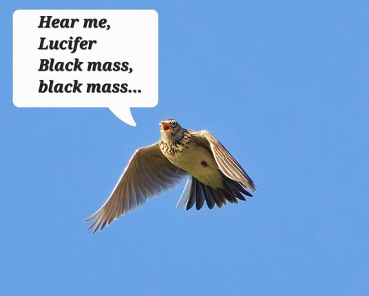 A skylark sings in flight, its wings folded. Speech bubble with lyrics:
Hear me Lucifer 
Black mass,
black mass...