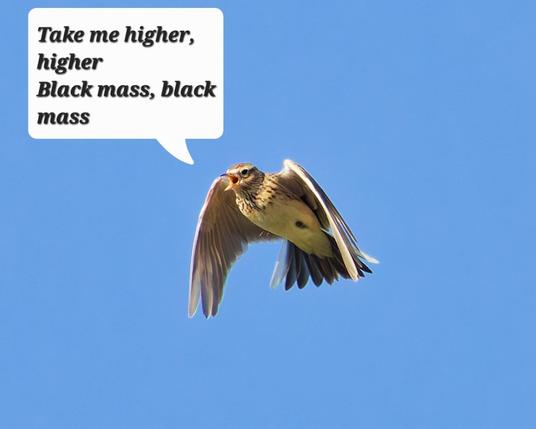 A skylark sings in flight, its wings folded. Speech bubble with lyrics:
Take me higher, 
higher 
Black mass, black mass
(Song of electric wizard)