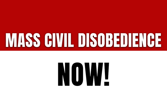 Mass Civil Disobedience 
NOW!