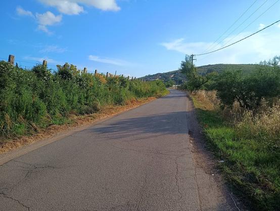 Strada asfaltata in campagna, con vegetazione ai lati e linee elettriche. Cielo azzurro con qualche nuvola.