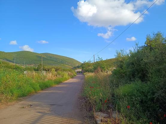 Strada asfaltata in campagna, con vegetazione ai lati e linee elettriche. Cielo azzurro con qualche nuvola.