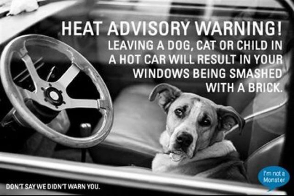 HEAT ADVISORY WARNING!

Leaving a dog, cat or child in a hot car will result in your windows being smashed with a brick.

Don't say we didn't warn you.

[Image of dog sitting in the driver's seat of a car]