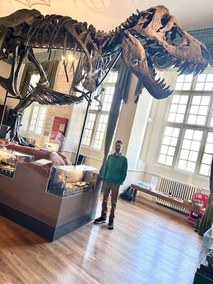 A man standing under the front of a dinosaur skeleton.