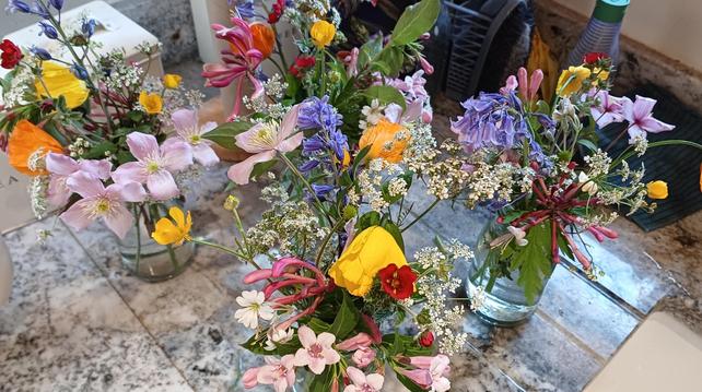 Four jam jars containing a selection of wild and garden flowers sitting on a draining board. Bottle of washing up liquid in the background 🤣