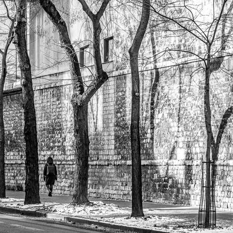 Vincent Dufrène Photographies