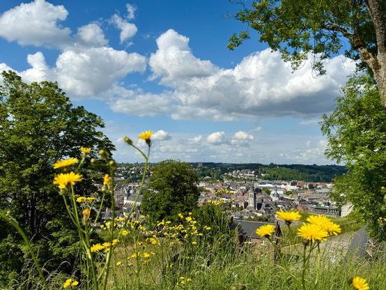 Vue sur Namur depuis la colline de la citadelle