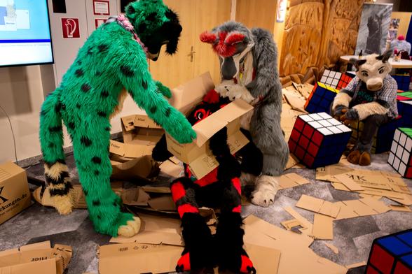 Green Cheetah and Grey wolf fursuiters putting a cardboard box over a fox fursuiter.
The floor is littered with more boxes