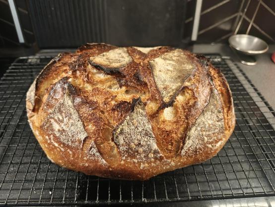 Hot loaf of bread resting on a cooling rack. Brown crust, dusted with flour is scored in a rhomboid pattern.