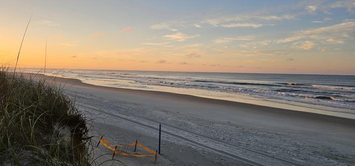 Ocean at dawn. Dawn light at horizon on left with vegetation-covered dune. Beneath the dune is a square of orange tape on short rods with a cage inside. Beyond is a beach and ocean surf glinting in dawn light. Orange-tinted clouds.