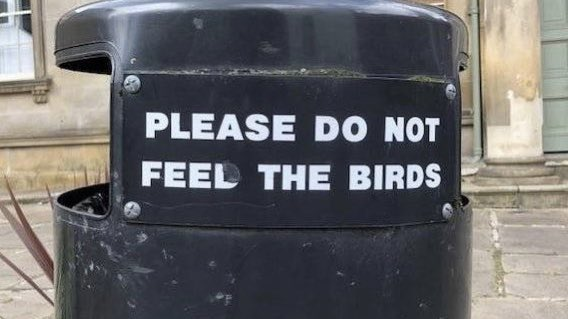 Sign on garbage can reads "PLEASE DO NOT FEEL THE BIRDS."