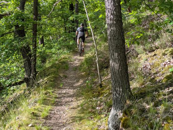Radfahrer auf Trail.