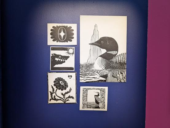 Close up picture of a section of the wall. Its painted blue and hanging on the wall there's lino prints of a loon, a cormorant two flowers and a canine like creature