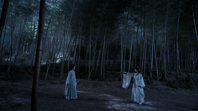 On a forested path on moonlit night, Lan Yi finds her path blocked by Baoshan Sanren, who stands at least 6 feet in front her with sword drawn and extended with the point level with Lan Yi's neck. Lan Yi's own sword remains sheathed at her side, held in her left hand.