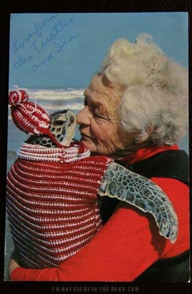 It's a photo of environmental activist, conservationist, and world famous turtle hugger Ila Loetscher (https://w.wiki/EGX7), AKA The Turtle Lady, standing on a beach, with waves and a blue sky behind her, holding a costumed sea turtle in her arms, like one would a baby. She appears to be rubbing noses with the animal.  She's got gray, wind-blown hair and is wearing a red and black sweater. The turtle, wearing a knitted red and white striped sweater and a festive matching hat, has one flipper on the woman's shoulder. The photo is signed in the upper left and says "Love from the Turtles and Ila".