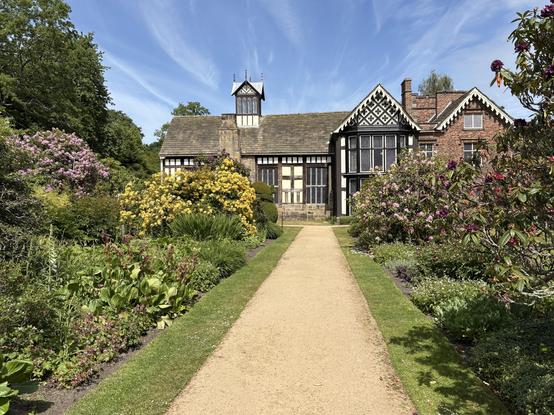 The half timbered Rufford Old Hall with a beautiful blue sky above it, a gravel path approaching it and flower beds with rhododendrons and other shrubs on both sides.