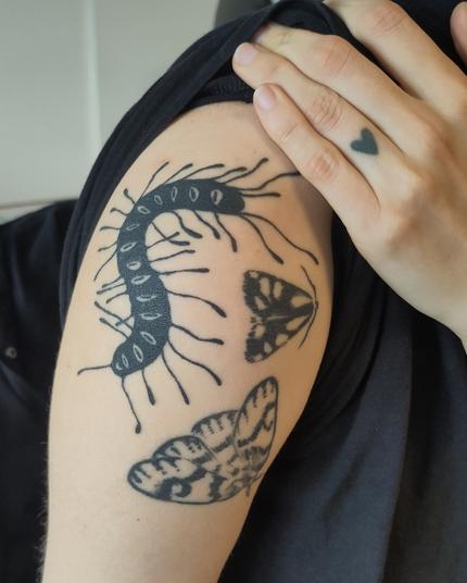 Insect tattoo collection on shoulder