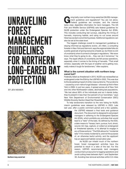 Northern long-eared bat
