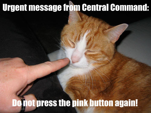 Photo of me booping my late cat’s pink nose. Caption “Message from central command: do not press the pink button again”