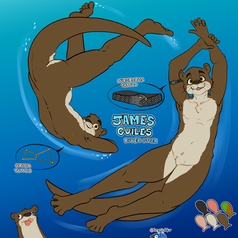 A reference sheet of a male anthro river otter, with front and back views.