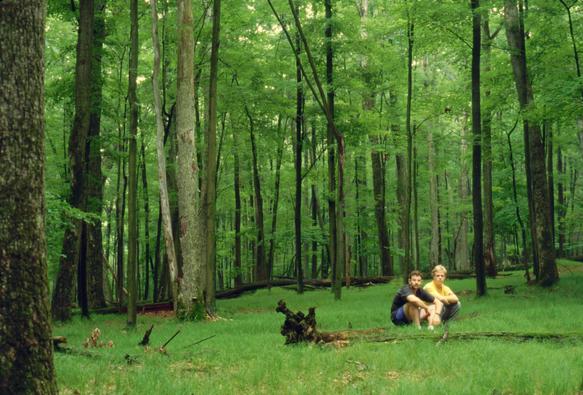 Two friends in forest clearing sitting on a log. Image taken by timer. Deep in the forest.