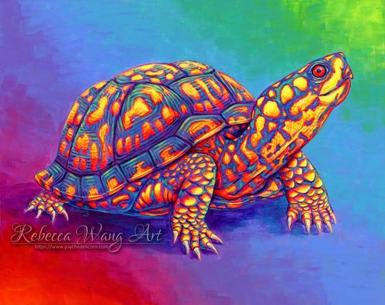 A colorful painting of an Eastern Box Turtle in bright rainbow colors.