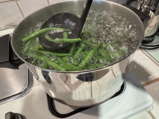 By the time the water is boiling again, the beans are probably tender but still have good color. Time to pull.