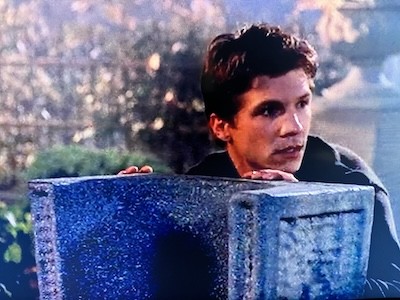 Screenshot I took of Riley Finn (Marc Blucas) in a brown sweater hiding behind a tombstone with his face turned. He has brown hair. The cemetery gates are behind him with foliage around them. Also there is a bush and a stone pot with a plant in it on a stone column in the background. From Buffy The Vampire Slayer Season 5, Episode 7.