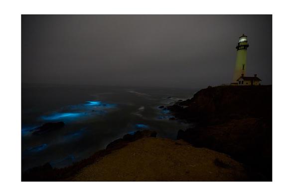 A lighthouse stands on a rocky coastline at night, surrounded by dark waters illuminated by bioluminescent blue waves. The scene is moody and atmospheric, with a cloudy sky overhead.