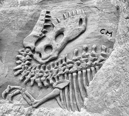 A sand carving in a hard sand Clift side of Tyrannosaurus Rex bones in death pose