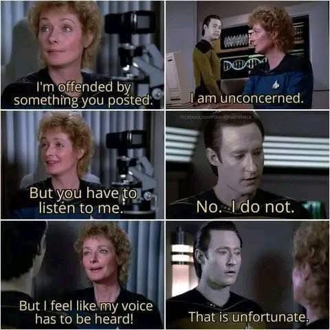 star trek image, data is unconcerned that the doctor is offended. she says he has to listen to her,  and he says correctly that he does now. he then says it is unfortunate that she feels like her voice needs to be heard.