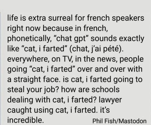 life is extra surreal for french speakers right now because in french, phonetically, "chat gpt" sounds exactly like "cat, i farted" (chat, j'ai pété). everywhere, on TV, in the news, people going "cat, i farted" over and over with a straight face. is cat, i farted going to steal your job? how are schools dealing with cat, i farted? lawyer caught using cat, i farted. it's incredible.
Phil Fish/Mastodon