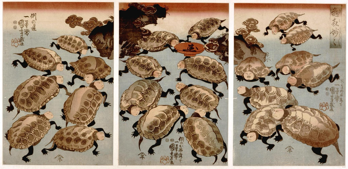 image description: Triptych color woodblock print depicting 23 turtles with the faces of kabuki actors and stylized crests on their shells, gathering around a large sake cup. With three signatures. Digitized image © The Trustees of the British Museum.  More info about the context of this image via The Metropolitan Museum of Art, New York: "Working at the end of the Edo period, the ingenious and prolific print artist Kuniyoshi brings the story of actors’ likenesses to a comic culmination in his depiction of twenty-three turtles, each with the face of a famous Kabuki actor of the day, scurrying around a red lacquer sake cup. Newly enforced publishing censorship rules from the Tenpō Reforms (1841–43) prohibited printmakers from making identifiable pictures of actors or courtesans." https://www.metmuseum.org/art/collection/search/835803
