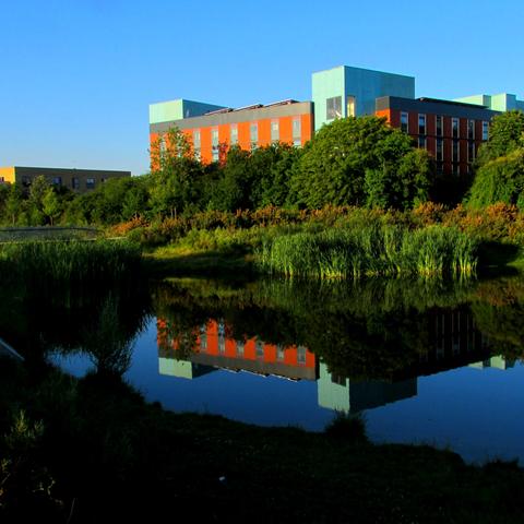 Building reflected in pond