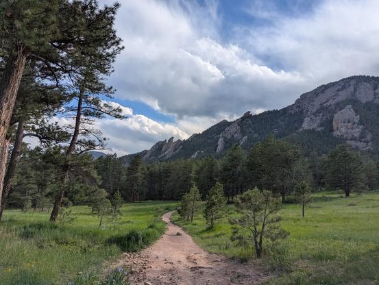 A rocky path winds through a green meadow surrounded by conifers. Large rocky hills rise in the background.