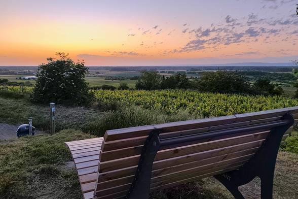 Sonnenaufgang am Römerturm von Guntersblum