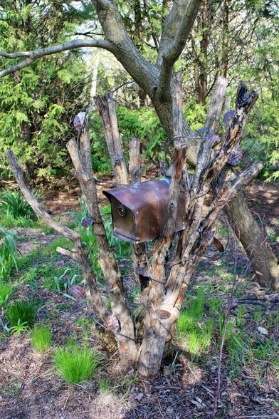 Brown metal mailbox nestled int the cutoff branches of a dead tree with metal vines with intermittent metal leaves winding through the cutoff branches of past tree that is no longer alive surrounded by living green plants and trees in the background.