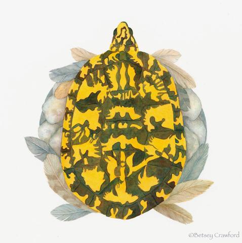 Mandala of a dark yellow and black box turtle from above on a nest of gray stones and tan and gray feathers. Done in watercolor.