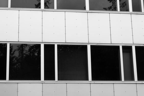 Detail of a metal and glass building from, where the windows show the reflection of the forest it is facing. Black and white.