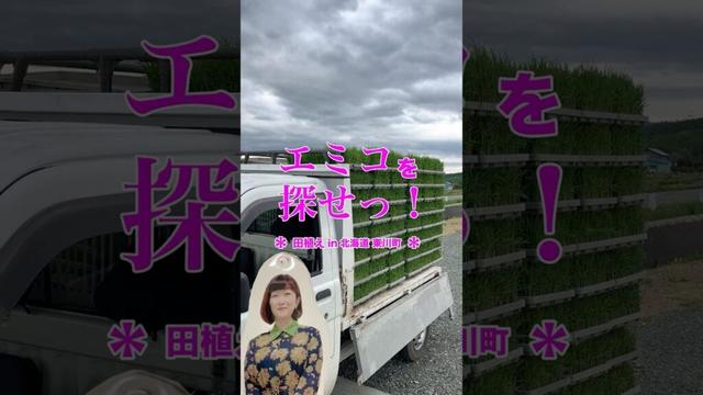 田植えのお手伝い中のエミコさん大活躍！？#東川町 #川村エミコ #田植え