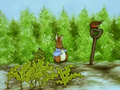 Peter Rabbit pulls some carrots out of the ground, delighted, while a robin watches