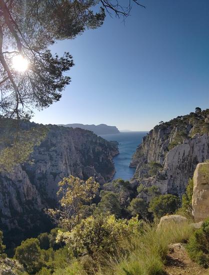 Vue iconique depuis le belvédère d'en vau. C'est tout simplement magnifique.

On est aligné parfaitement avec la longueur de la calanques.

Au premier plan la végétation et les branches d'un pin qui cache le soleil. Puis la vue plongeante sur la calanque avec ses falaises des deux côtés de la mer.

À l'arrière plan on voit cap Canaille et les calanques entre Cassis et la Ciotat.