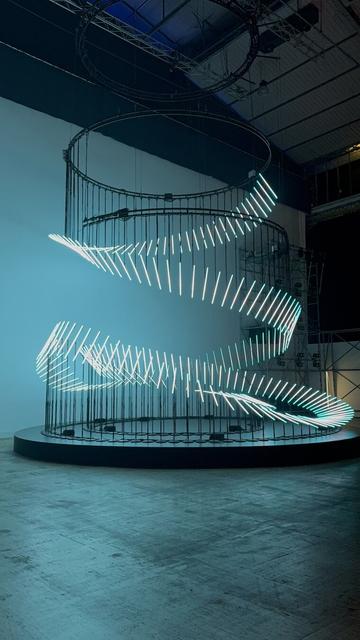 Un immense squelette de serpent lumineux qui prend forme à travers la musique et la lumière