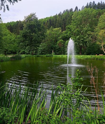 Eine 2 m hohe, künstliche Fontäne in einem kleinen See. Drumherum eine Parklandschaft mit Bäumen in satten Grün.