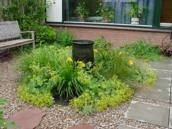 In the middle of the photo a water element, surrounded by low plants, including Alchemilla mollis that blooms lushly green-yellow. Around it soil. On the left you see part of a bench (from which there is a nice view of the other gardens, but you can't see that in the photo). In the background a window of the house.