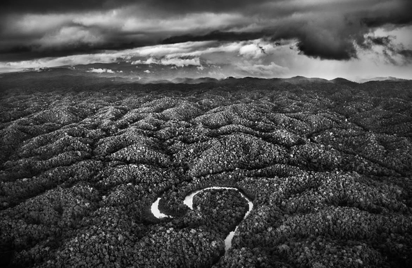 Black and white photograph of a far-stretched forest with a river in the shape of o curled up snake