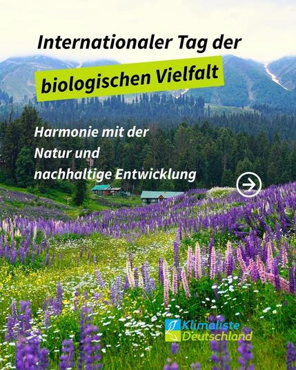 Das Bild zeigt eine Berglandschaft mit einer Blumenwiese im Vordergrund, auf der der blaue Eisenhut wächst.
Schlagzeile: "Internationaler Tag der biologischen Vielfalt", wobei die Worte "biologische Vielfalt" frühlingsgrün hinterlegt sind. Darunter steht: "Harmonie mit der Natur und nachhaltige Entwicklung" und daneben ein Pfeil in einem Kreis der nach rechts zeigt. Rechts unten, das Logo der Partei Klimaliste Deutschland.