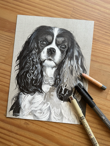 Eine hochdetaillierte Zeichnung eines Cavalier King Charles Spaniels auf grauem Zeichenkarton. Auf dem Bild liegen drei verschiedene Stifte.