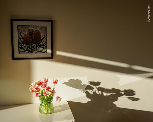 A still life with a vase of tulips standing in bright sunlight in front of a picture of three banksia flowers. The bright sun creates a virtual vase of tulips, joining the banksias on the wall.