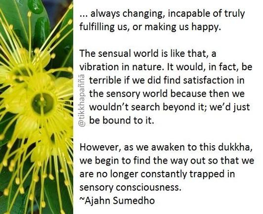 ... always changing, incapable of truly fulfilling us, or making us happy.
The sensual world is like that, a vibration in nature. It would, in fact, be terrible if we did find satisfaction in the sensory world because then we wouldn’t search beyond it; we’d just be bound to it.
However, as we awaken to this dukkha, we begin to find the way out so that we are no longer constantly trapped in sensory consciousness.
~Ajahn Sumedho