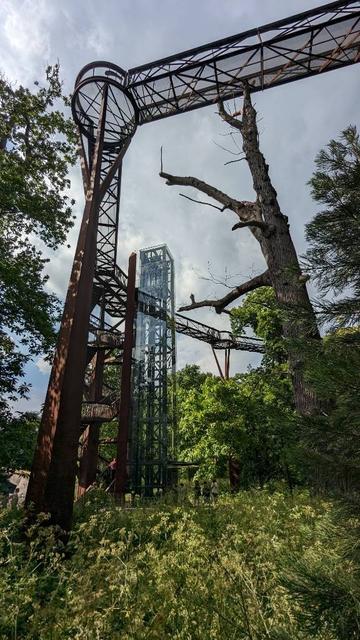 Ein Gerüst, eine Treppe führt nach oben auf einen Pfad aus Gerüsten. Bäume drum herum.